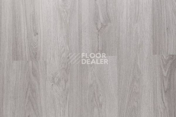 Ламинат Clix Floor Plus ДУБ СЕРЫЙ СЕРЕБРИСТЫЙ фото 1 | FLOORDEALER
